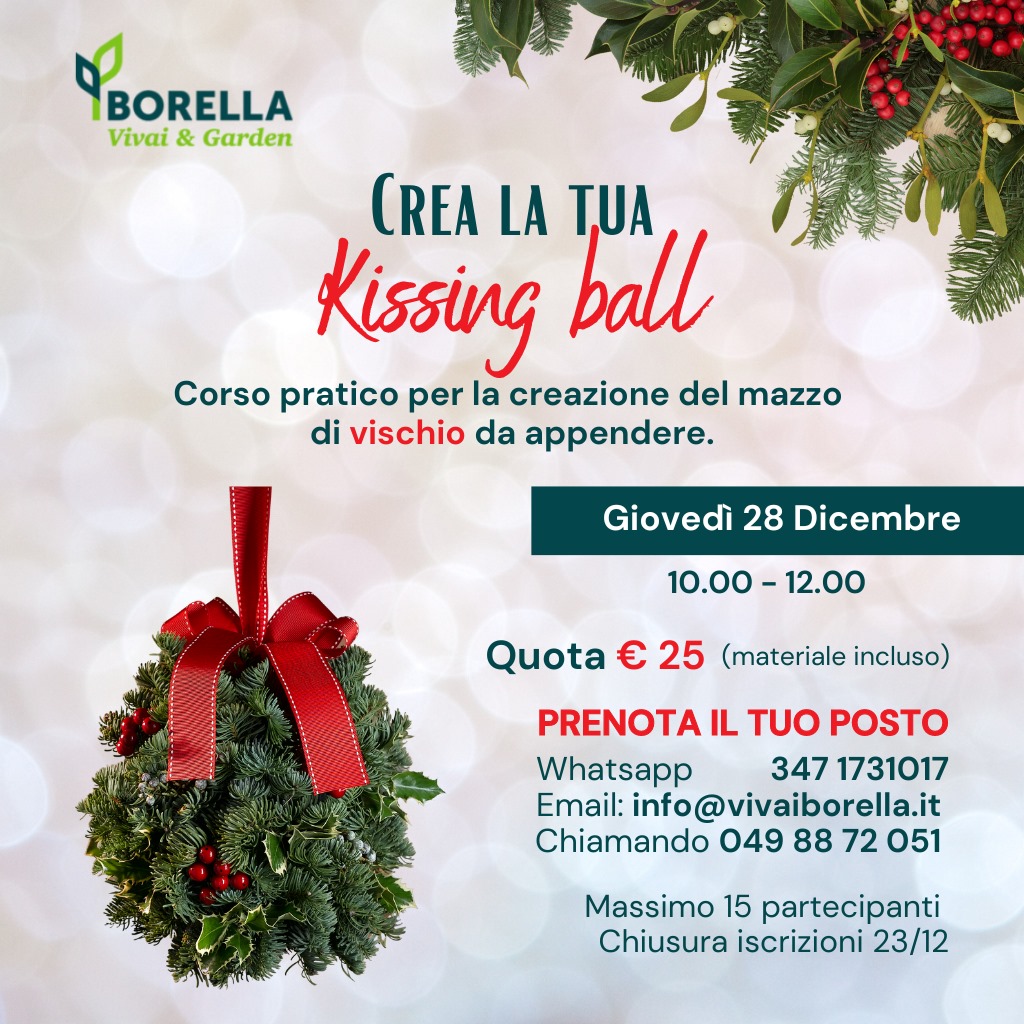 Corso Kissing Ball 2023