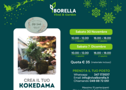 Corso Koredama 2024 Evidenza