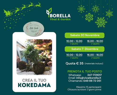 Corso Koredama 2024 Evidenza