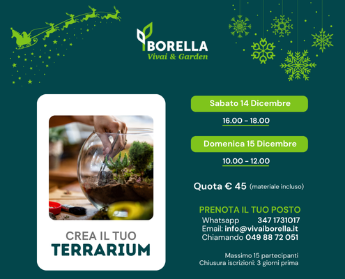 Corso Terrarium 2024 Evidenza