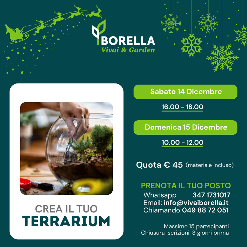 Corso Terrarium 2024