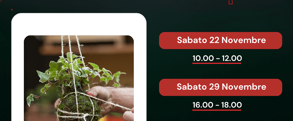 Crea il tuo kokedama 2025