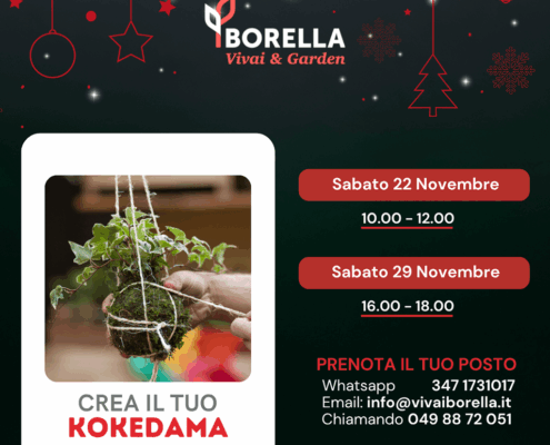 Crea il tuo kokedama 2025