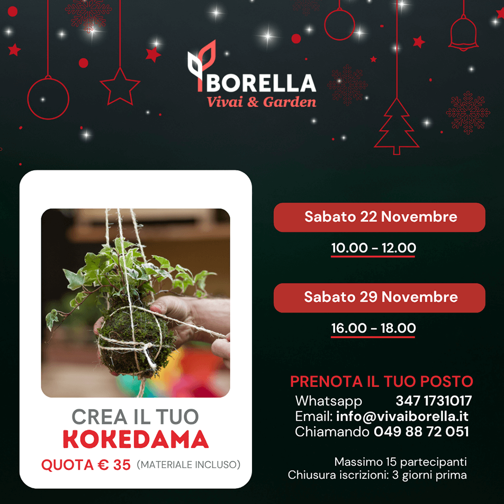 Crea il tuo kokedama 2025