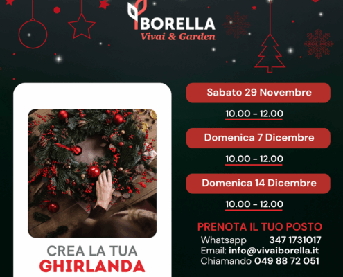 Crea la tua ghirlanda 2025