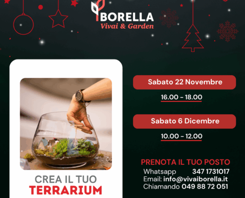 Crea il tuo terrarium 2025
