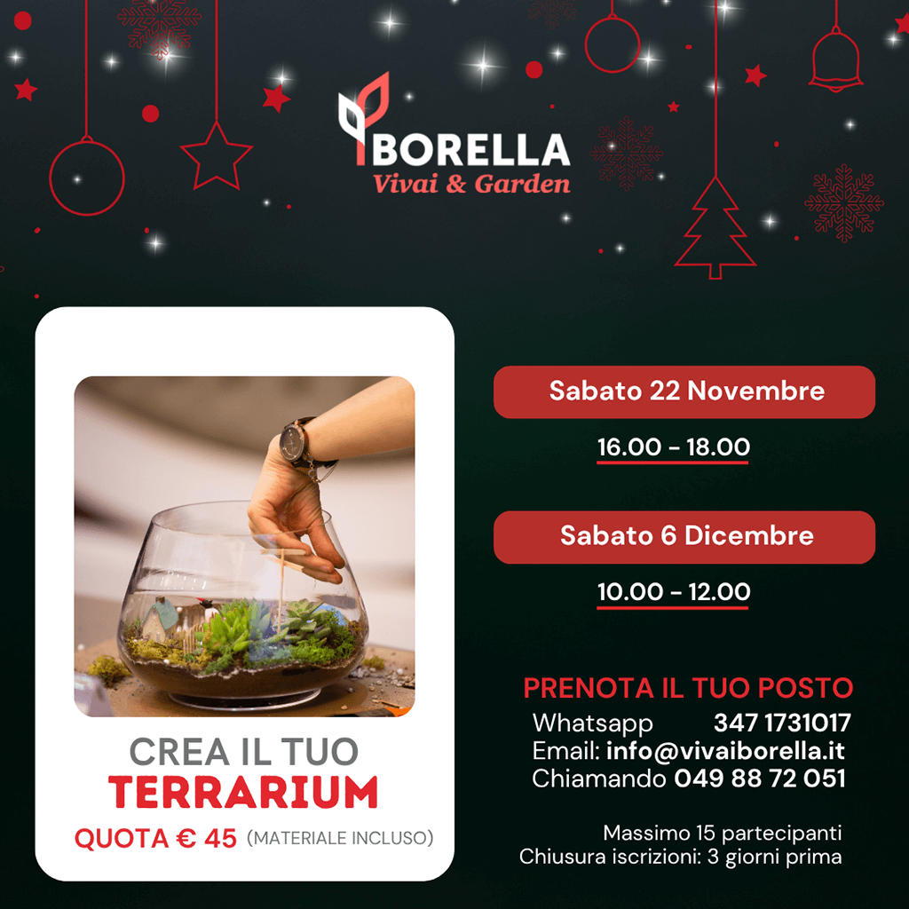 Crea il tuo terrarium 2025
